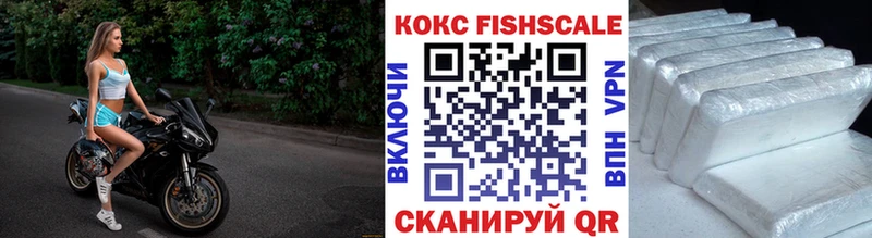 COCAIN Эквадор  сколько стоит  даркнет состав  Дегтярск  ссылка на мегу tor 