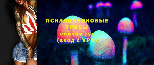 соль ск Армянск